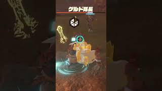 【ゼルダ無双】ハイラル平原南西　ゲルド隊長　ゼルダ無双封印戦記 #zelda #shorts