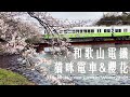 日本花見Ep.01|和歌山電鐵貴志川線|一次搭到貓咪電車、草莓電車、梅星電車|關西&廣島JR Pass|Japan Vlog|The Kishigawa Line in Wakayama (ENG)