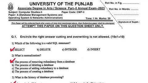 BA/BSC part 2 computer Solved Mcqs paper 2024 Punjab university||14 class computer 2023 solved paper