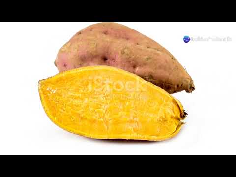 Beras Jagung Gandum Dan Kentang Termasuk Makanan Yang Banyak Mengandung