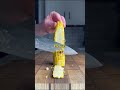 What S Your Worst I Know This Looks Bad But I Can Explain Moment Reddit What S Your Worst I Know This Looks Bad But I Can Explain Moment Reddit