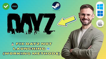 How to Fix DayZ Not Launching (PC Fix 2025)