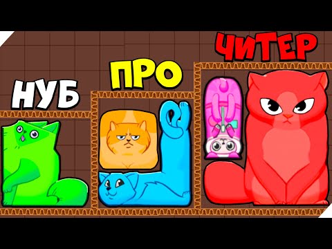 Эволюция Пазла Из Котов, Максимальный Уровень! Puzzle Cats