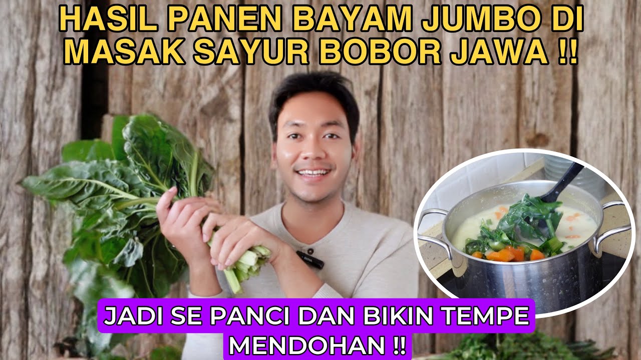 MASAK SAYUR BOBOR KAMPUNG BAYAM HASIL PANEN!! JADI SEPANCI DAN GORENG TEMPE MENDOHAN PLUS SAMBAL!!
