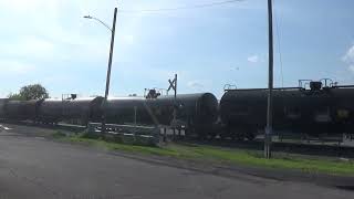 (Late start, read description) NS/UP train Crosses pedestrian railway crossing signal