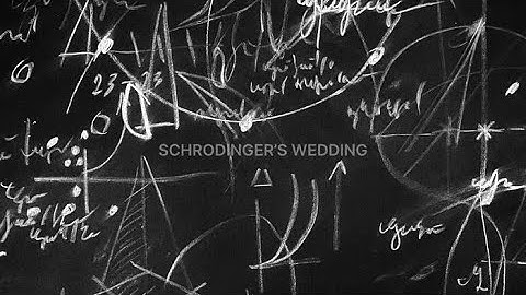 Dima Ustinov, NoMusicians - 09-10 Dark [It’s good to be a tree]