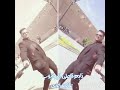 اغنیه سلیم البونائی صوره الی علاوساعدی الحمیدیه اغنیه سلیم البونائی صوره الی علاوساعدی الحمیدیه