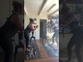 Assessment class BARRE, Barre Body Tyjana Blacka