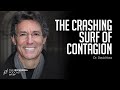 A More Surgical Strategy: Dr. David Katz | Rich Roll Podcast