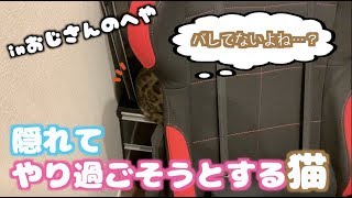 気配を消して怒られないようにするロゼ