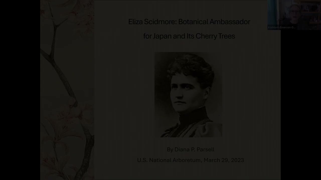 Eliza Scidmore: Botanical Ambassador for Japan and Its Cherry Trees