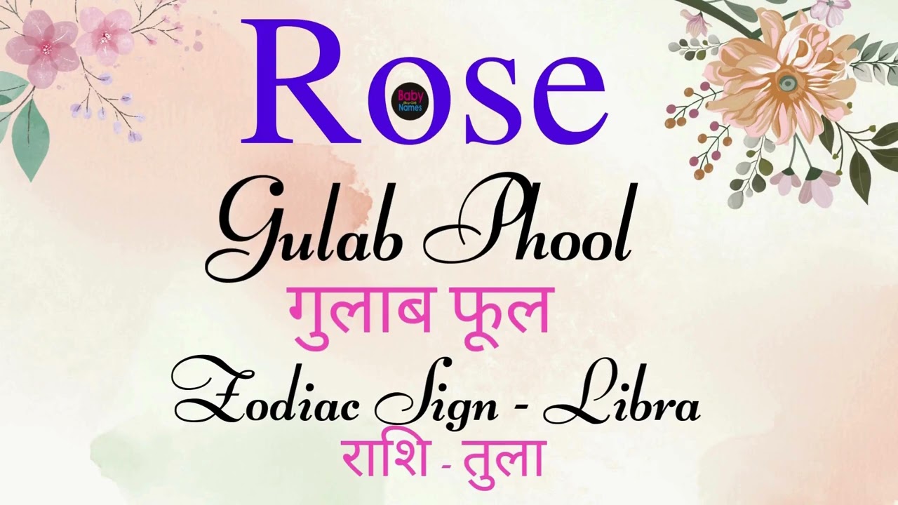 रोस नाम का अर्थ और जानकरी | Baby girl Rose name ka arth & matlab | Rose naam meaning aur rashi |