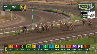 Vidéo de la course PMU PERIFERICO H.