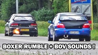 Best of Subaru Impreza Sounds Compilation (WRX sti) Best of Subaru Impreza Sounds Compilation (WRX sti)