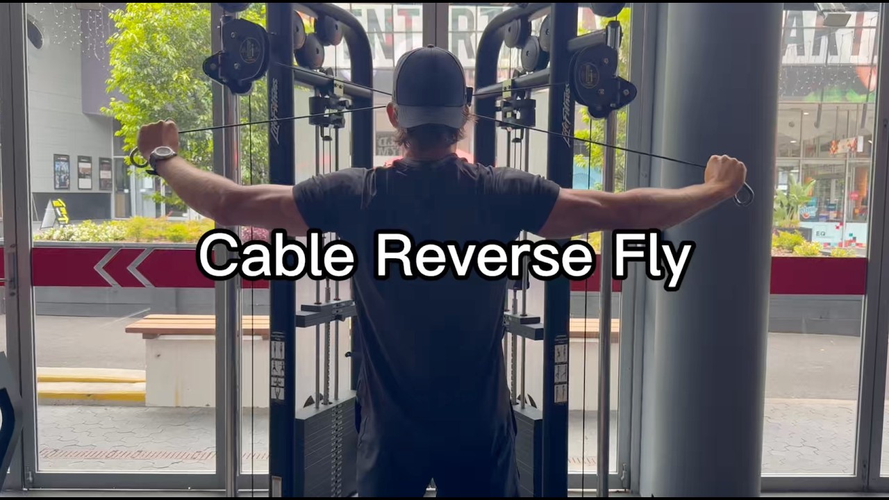 Cable Reverse Fly - YouTube