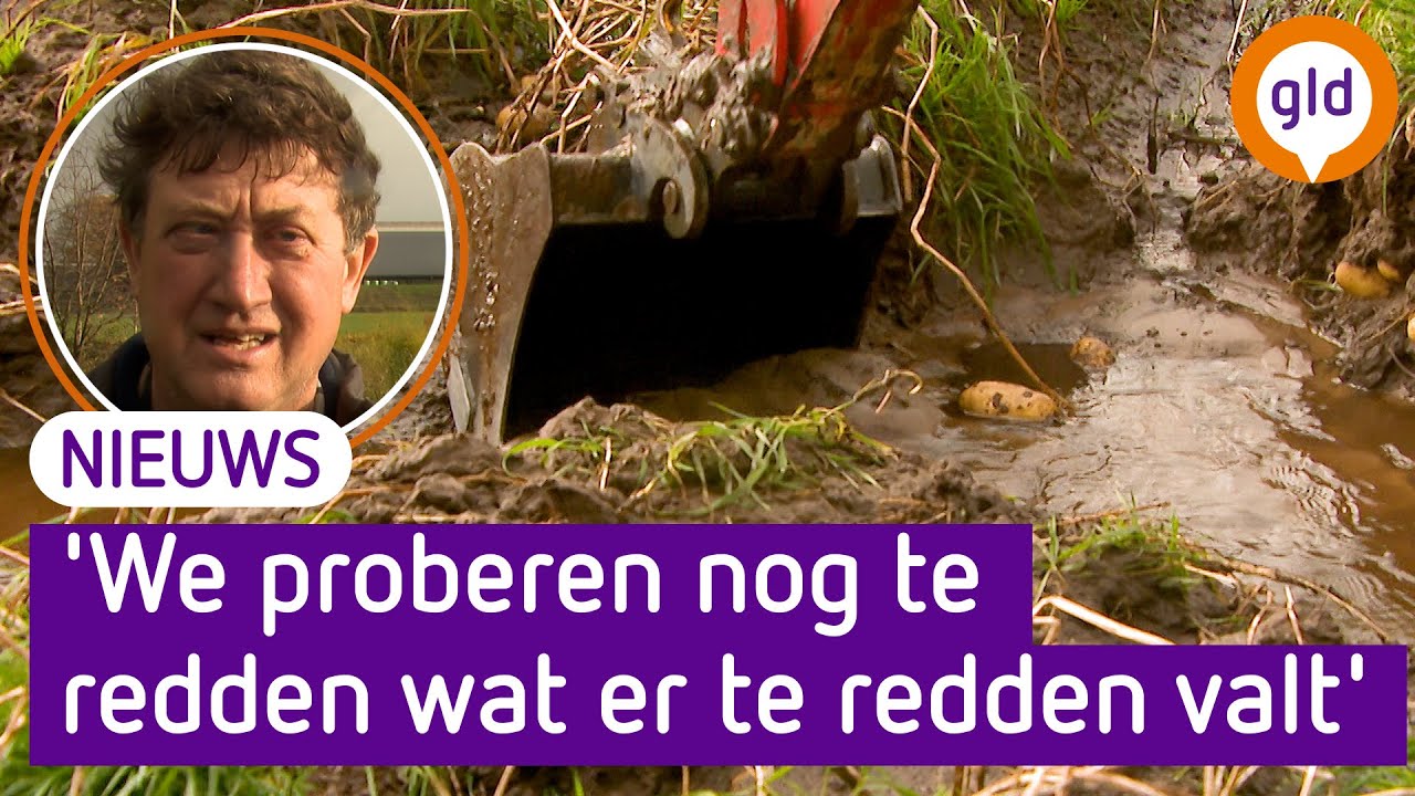 Valt AARDAPPELOOGST in het WATER door REGENVAL? 🌧️🥔