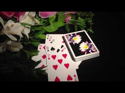 1ST playing cards ＋ Carpe Noctem Carpe Noctem Playing Cards Limited Edition by Chris Ramsay