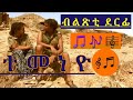 Eritrean music temneyo  