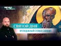 ПРЕПОДОБНЫЙ СТЕФАН САВВАИТ. СВЯТОЙ ДНЯ