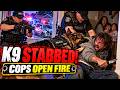 K9 Riko Charges Suspect and Gets Stabbed in the Neck — Police Open Fire