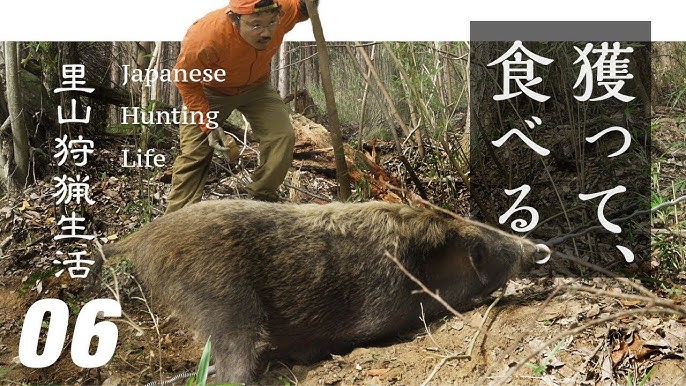 カナダ 田舎暮らし コンパウンドボウで鹿の待ち伏せ猟 狩猟 日本人初 大物雄ジカのボウハンティング 鹿猟 鹿の狩猟 44 Youtube カナダ 田舎暮らし コンパウンドボウで鹿の待ち伏せ猟 狩猟 日本人初 大物雄ジカのボウハンティング 鹿猟 鹿の狩猟 44 Youtube