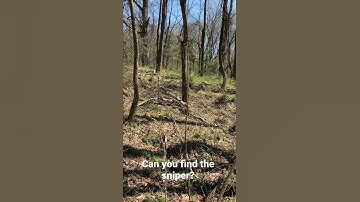Find the sniper before he shoots!