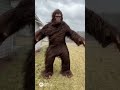 Bigfoot is rated for high winds 💁♂️