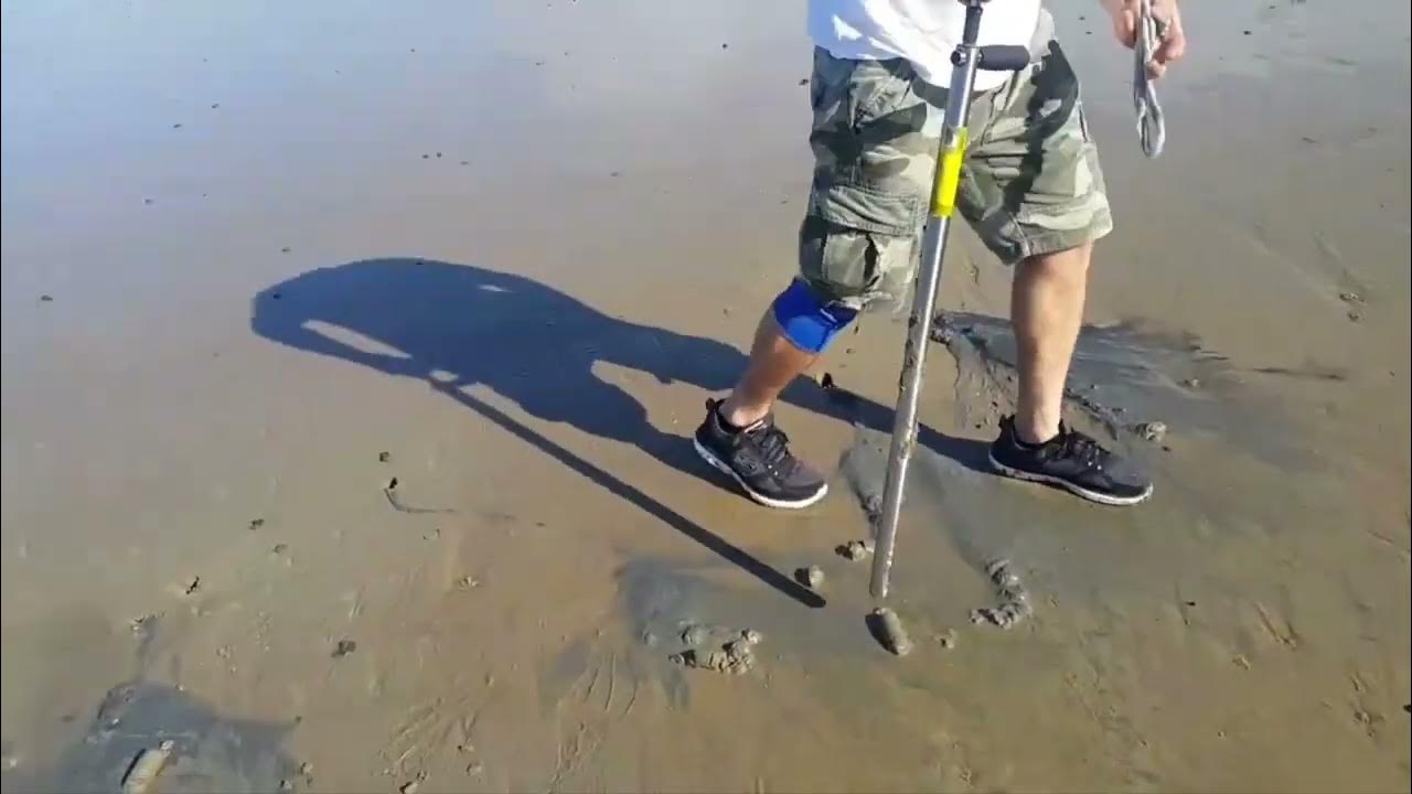 Pumping out live lugworms bait YouTube