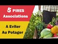 Les pires associations  eviter avec vos lgumes au potager 