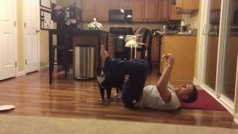 Transitional Movement sagittal plane full range