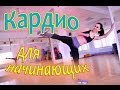 Кардио тренировка для сжигания жира| ДЛЯ НОВИЧКОВ!