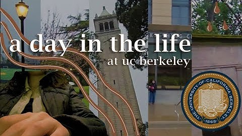 a day in the life at uc berkeley | wangela