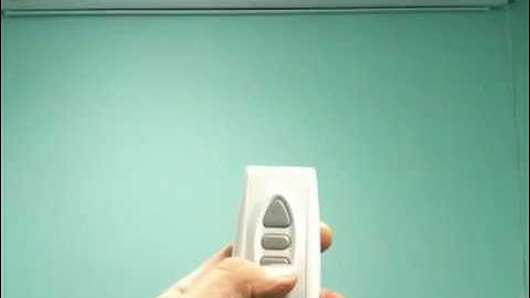 Antra Motorized Projection Screen