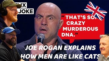 Joe Rogan Explains How Men Are Like Cats REACTION!! | OFFICE BLOKES REACT!!