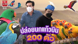 นกแก้วปล่อยบินอิสระฝูงใหญ่ที่สุดในไทย ตอนที่ 2 - เพื่อนรักสัตว์เอ้ย EP.130 [2/2]