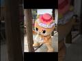 本場所に向けて特訓中ですっ☆