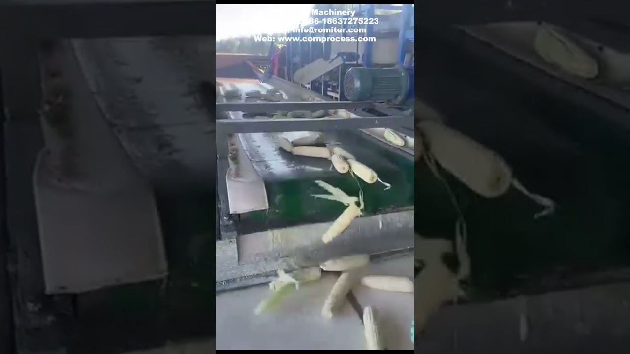 Air Blow Type Sweet Corn Husk Removing Machine