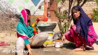 Aliza Saher Vlog New Vlog Video Prince Ali Khan New Song Video Hd Saraiki Song