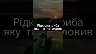 Скільки см у нього вуса?😲 #рыбалка #рибалка