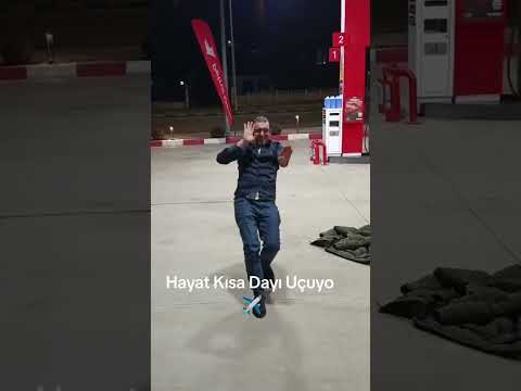 #shorts  Hayat kısa dayı uçuyor
