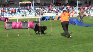 Mystique 20150508 FMBB WK JP1 screenshot 5