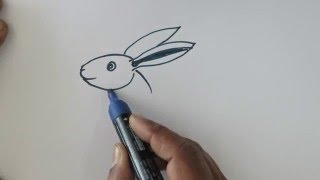 rabbit face draw easy drawing steps drawings paintingvalley