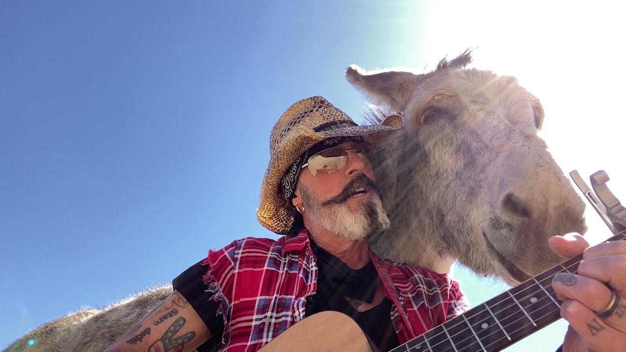Hazel the Donkey Loves the Beatles Music. Donkeys compete fro attention