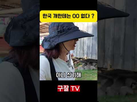 한국 강아지한테 없는 이것 ... thumbnail