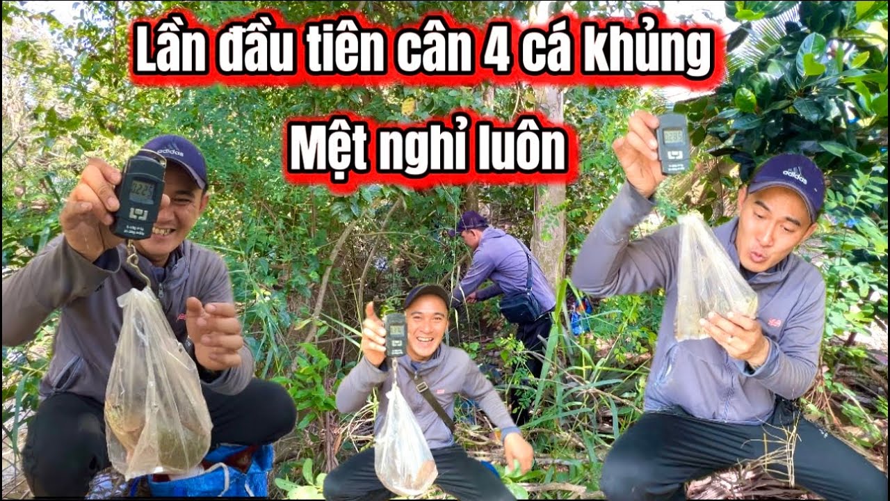 Câu Cá Rô Đồng Lần Đầu Tiên Dính Cá Khủng Nhiều Cân Mệt Nghỉ Luôn / lãng tử miền tây T 91