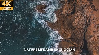 Relaxing Waves For Sleeping Well || Deep Sleep Bedroom Ambiance With Ocean Sounds