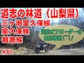【道志の林道】越路・室久保・三ヶ瀬室久保を堪能【2020年映像】