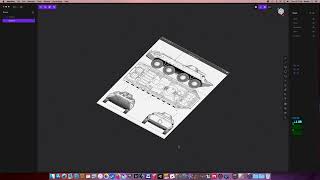 Picture References in Plasticity