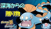 No 09 フラダリじゃ無い方のカエンジシ かぼちゃとネイムの気ままにポケモンバトル ポケモンｕｓuｍ Youtube