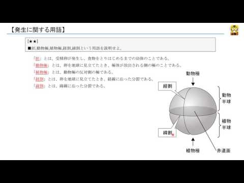 Hqdefault